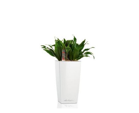 MINI-CUBI